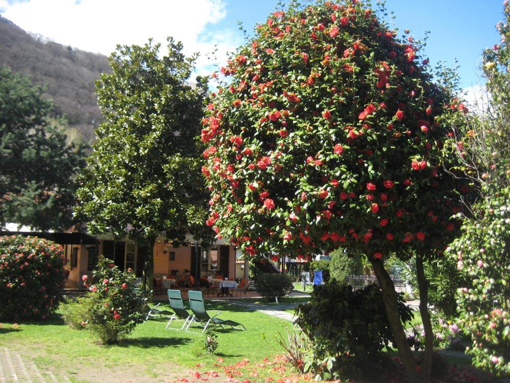 Villa Margherita Lake Maggiore Esterno foto
